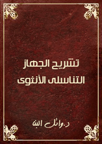 تشريح الجهاز التناسلي الانثوي