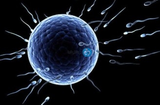 know that long periods not having intercourse can decrease the quality of the sperms