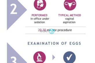 A woman who is not ready to have a child can choose to freeze eggs to try to preserve her ability to have a child later.