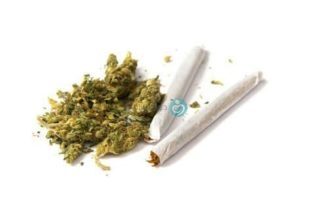 🌿Weed🌿 May Be Worse Than Cigarettes for Sperm Health